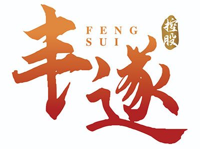 豐遂金融控股有限公司